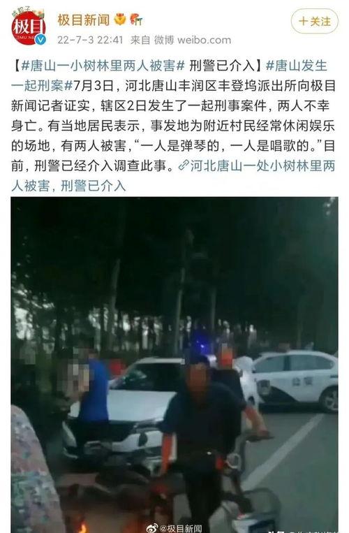 最新爆料唐山事件,真相与反思
